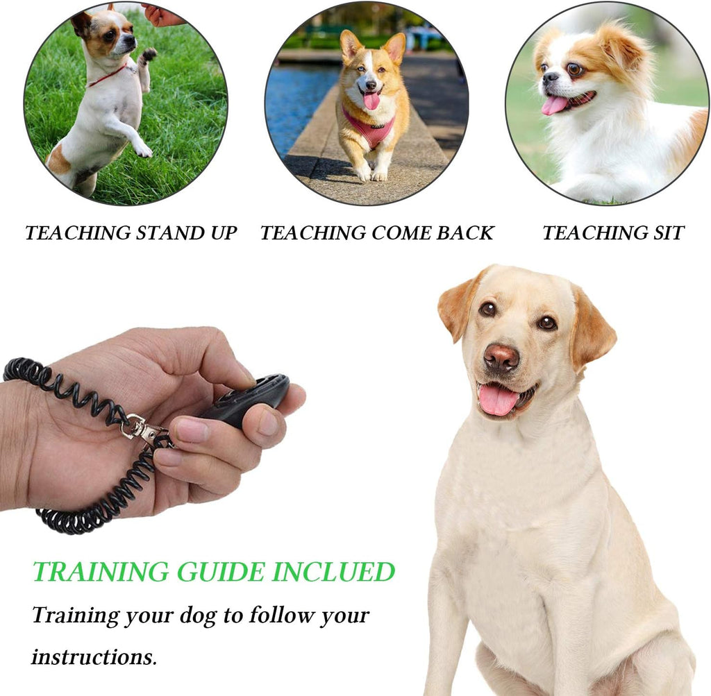 Ultimate 4-In-1 Dog Training Set - Perfect for New Pet Owners: Treat Pouch, Whistle, Doorbells & Clicker (Black)